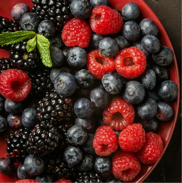 Schale mit frischen Himbeeren, Heidelbeeren und Brombeeren.